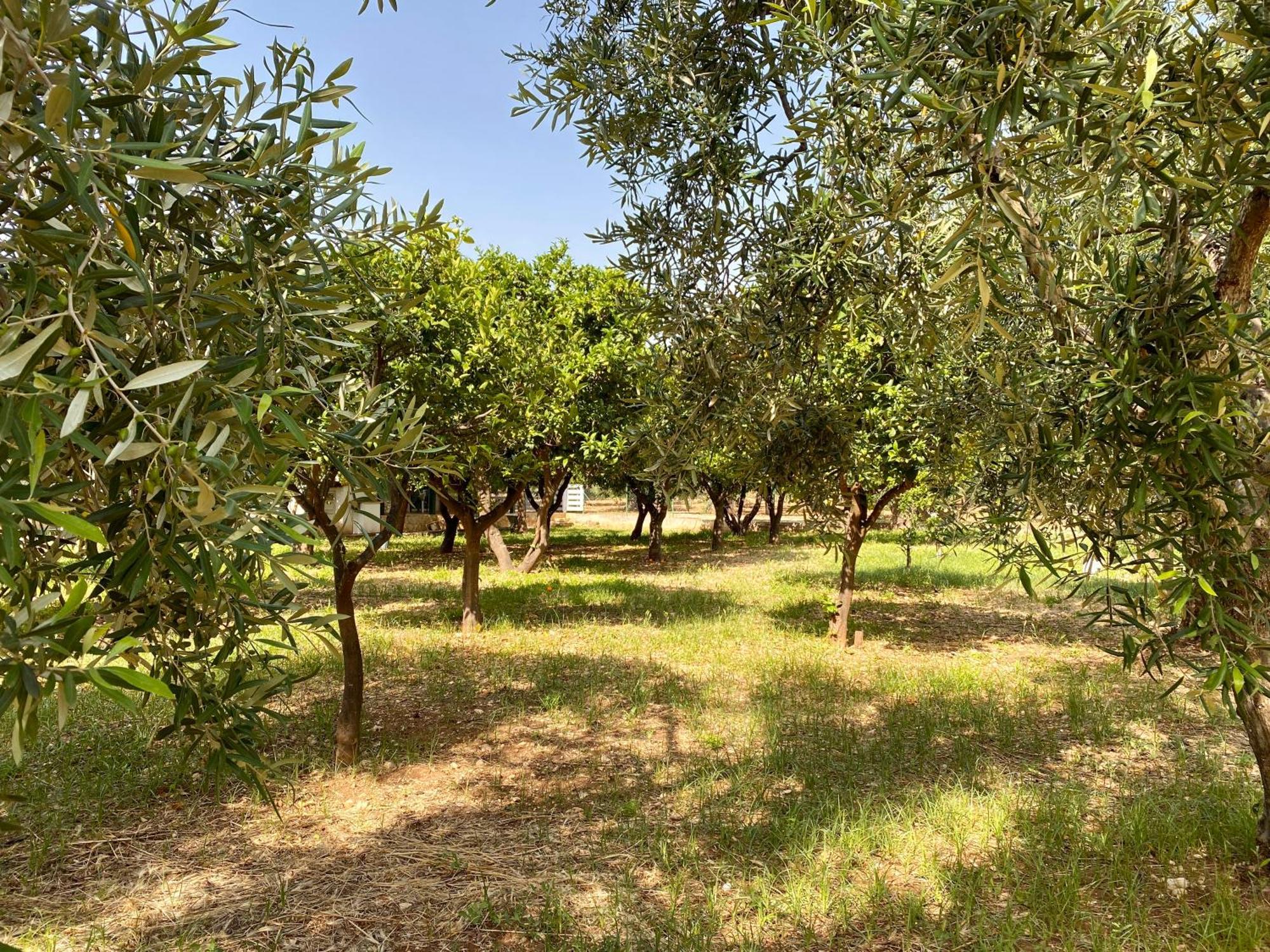 Villetta San Matteo Mattinata Bagian luar foto