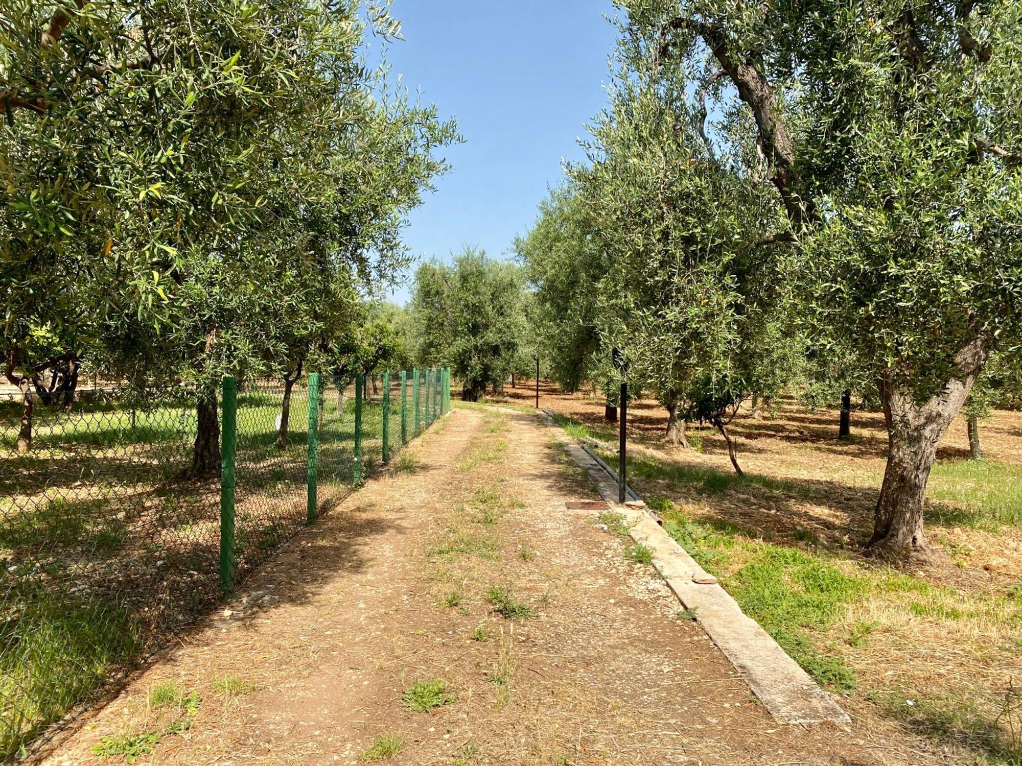 Villetta San Matteo Mattinata Bagian luar foto
