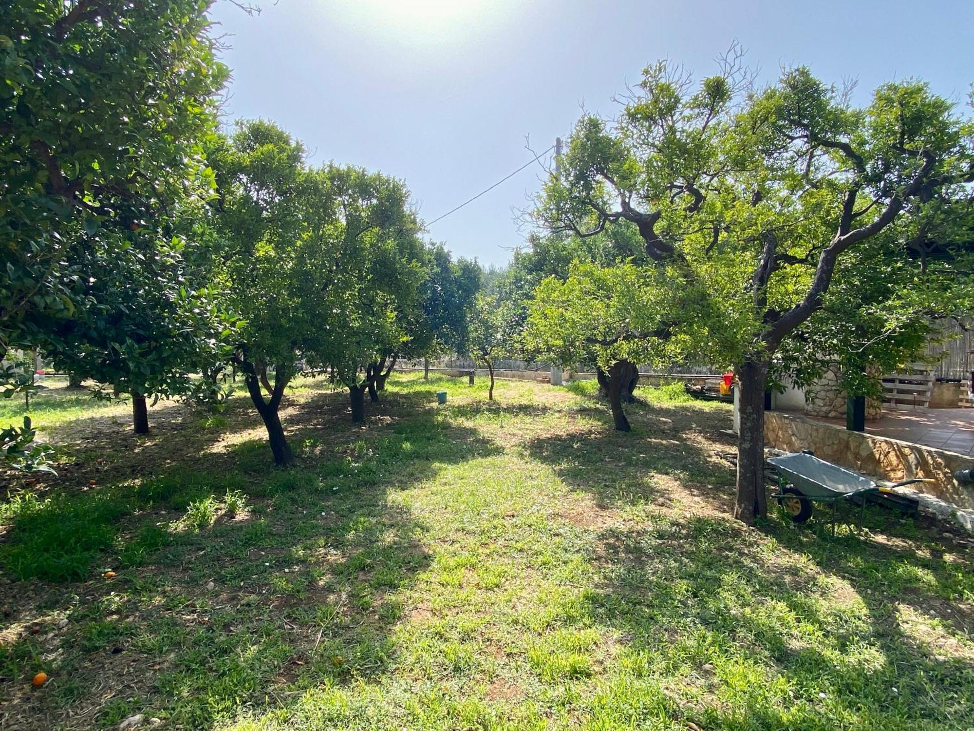 Villetta San Matteo Mattinata Bagian luar foto